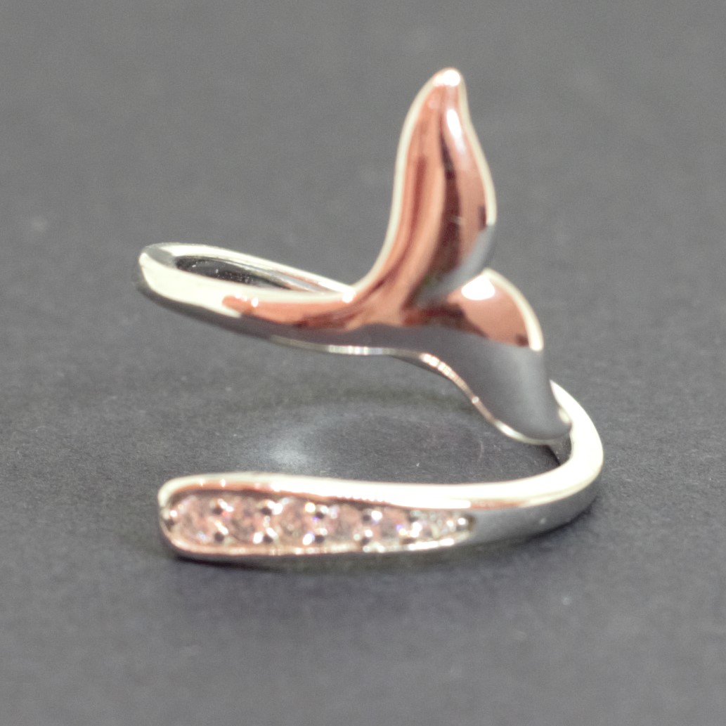 Ballena - Image 4